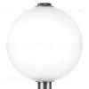 Настольная лампа Lightstar Colore 805916 805916 - 4