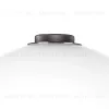 Настольная лампа Lightstar Colore 805916 805916 - 5