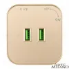 Трековая розетка Arte Milano Am-track-sockets 380022TS/USBx2 Gold 380022TS/USBx2 Gold - 3