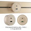 Трековая розетка Arte Milano Am-track-sockets-39 399732TS/USB-Type-C Gold 399732TS/USB-Type-C Gold - 1