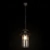 Уличный подвесной светильник Loft IT Palermo 100015P 100015P - 4