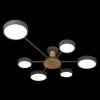 Потолочная люстра Loft IT Sunrise 10316/6 Grey 10316/6 Grey - 3