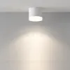 Накладной светильник Maytoni Pauline C087CL-GX53-W C087CL-GX53-W - 4