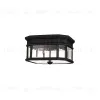 Уличный потолочный светильник Feiss Cotswold lane FE-COTSLN-F-BK FE-COTSLN-F-BK - 1