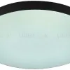 Потолочный светильник Эра Relict 48 Pult SPB-6-60-RC BK Б0059497 Б0059497 - 6