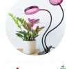 Настольная лампа Эра FITO-20W-АLED-R Б0053290 Б0053290 - 10