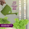 Светодиодная лента для растений Эра 18Вт 1400K 2м IP65 FITO-Strip Light-RB-2m красно-синего спектра Б0057282 Б0057282 - 9