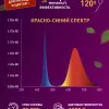 Светодиодная лента для растений Эра 18Вт 1400K 2м IP65 FITO-Strip Light-RB-2m красно-синего спектра Б0057282 Б0057282 - 14