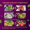 Светодиодная лента для растений Эра 18Вт 1400K 2м IP65 FITO-Strip Light-RB-2m красно-синего спектра Б0057282 Б0057282 - 12