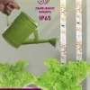 Светодиодная лента для растений Эра 18Вт 1400K 2м IP65 FITO-Strip Light-RB-2m красно-синего спектра Б0057282 Б0057282 - 17
