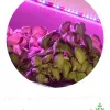 Светодиодная лента для растений Эра 18Вт 1400K 2м IP65 FITO-Strip Light-RB-2m красно-синего спектра Б0057282 Б0057282 - 22