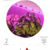 Светодиодная лента для растений Эра 18Вт 1400K 2м IP65 FITO-Strip Light-RB-2m красно-синего спектра Б0057282 Б0057282 - 23
