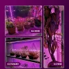 Светодиодная лента для растений Эра 18Вт 1400K 2м IP65 FITO-Strip Light-RB-2m красно-синего спектра Б0057282 Б0057282 - 18