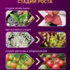 Светодиодная лента для растений Эра 18Вт 1400K 2м IP65 FITO-Strip Light-RB-2m красно-синего спектра Б0057282 Б0057282 - 20