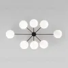 Потолочная люстра Eurosvet Opaline 70220/8 черный Smart a065767 70220/8 черный Smart - 4