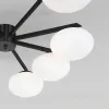 Потолочная люстра Eurosvet Opaline 70220/8 черный Smart a065767 70220/8 черный Smart - 3