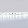 Светодиодная лента Ambrella Light LED Strip 12В 2835 14,4Вт/м 6500K 5м IP20 GS1303 GS1303 - 3