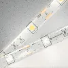 Светодиодная лента Ambrella Light LED Strip 12В 5050 7,2Вт/м 4500K 5м IP65 GS1902 GS1902 - 1