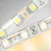 Светодиодная лента Ambrella Light LED Strip 12В 5050 14,4Вт/м 3000K 5м IP65 GS2101 GS2101 - 2