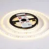 Светодиодная лента Ambrella Light LED Strip 24В 2835 10Вт/м 3000K 5м IP20 GS3101 GS3101 - 6