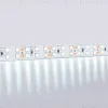 Светодиодная лента двухрядная Ambrella Light LED Strip 24В 2835 20Вт/м 6500K 5м IP20 GS3603 GS3603 - 3