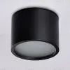 Накладной светильник Ambrella Light IP Protect TN6551 TN6551 - 4
