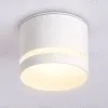 Накладной светильник Ambrella Light IP Protect TN6571 TN6571 - 3