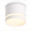 Накладной светильник Ambrella Light IP Protect TN6571 TN6571 - 1