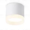 Накладной светильник Ambrella Light Acrylic Frost TN5365 TN5365 - 1