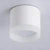 Накладной светильник Ambrella Light Acrylic Frost TN5365 TN5365 - 4