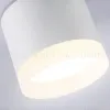 Накладной светильник Ambrella Light Acrylic Frost TN5365 TN5365 - 5