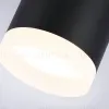 Накладной светильник Ambrella Light Acrylic Frost TN5366 TN5366 - 5
