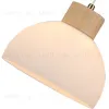 Подвесной светильник Arte Lamp Caprice A4184SP-1BR A4184SP-1BR - 2