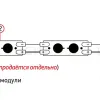 Светодиодный модуль Эра MZ2835-02-12V-2835-IP65-5m-6500 Б0044171 Б0044171 - 3