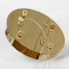 Подвесная люстра Lussole Lauderdale LSP-7219 LSP-7219 - 4