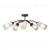 Потолочная люстра Vitaluce V2850-1/5PL V2850-1/5PL - 3