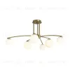Потолочная люстра Freya Hanger FR5443CL-06BS FR5443CL-06BS - 5