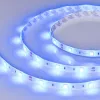 Светодиодная лента герметичная Arlight RTW-SE-B30-10mm 12V Blue (7.2 W/m, IP65, 5060, 5m) (Arlight, 7.2 Вт/м, IP65) 015135(2) 015135(2) - 2