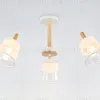 Люстра на штанге Ambrella Light Modern Losk TR4737 TR4737 - 6