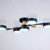 Потолочная люстра Ambrella Light Comfort LineTech FL4835 FL4835 - 6