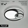 Потолочная люстра Eurosvet Jeremy 90254/1 черный a057128 90254/1 черный - 2