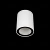 Накладной светильник Loft IT Rush 10344 White 10344 White - 2
