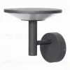 Уличный настенный светильник Citilux Dorn CLU05W CLU05W - 1