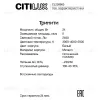 Настенно-потолочный светильник Citilux Тринити CL238660 CL238660 - 9