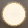 Потолочный светильник Citilux Boss CL751451G CL751451G - 6