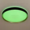 Потолочный светильник Citilux Boss CL751451G CL751451G - 9