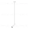 Подвесной светильник Maytoni Focus T P141RS-L125-6W4K-W P141RS-L125-6W4K-W - 1