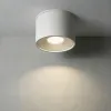Накладной светильник Wertmark WTA.O01.007.30.07 WTA.O01.007.30.07 - 4