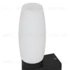 Подсветка для зеркал Arte Lamp Aqua-bastone A1209AP-1BK A1209AP-1BK - 4