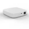 Проводной шлюз Tuya Zigbee iLedex Vision ZGB 2 ZGB 2 - 2